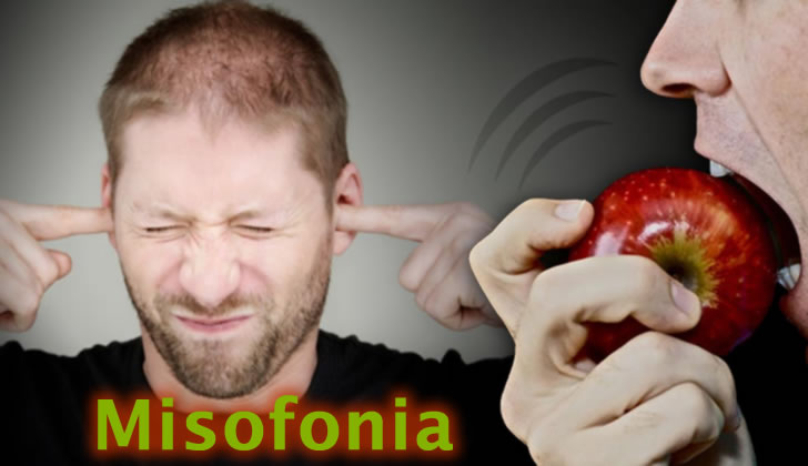 Misofonia